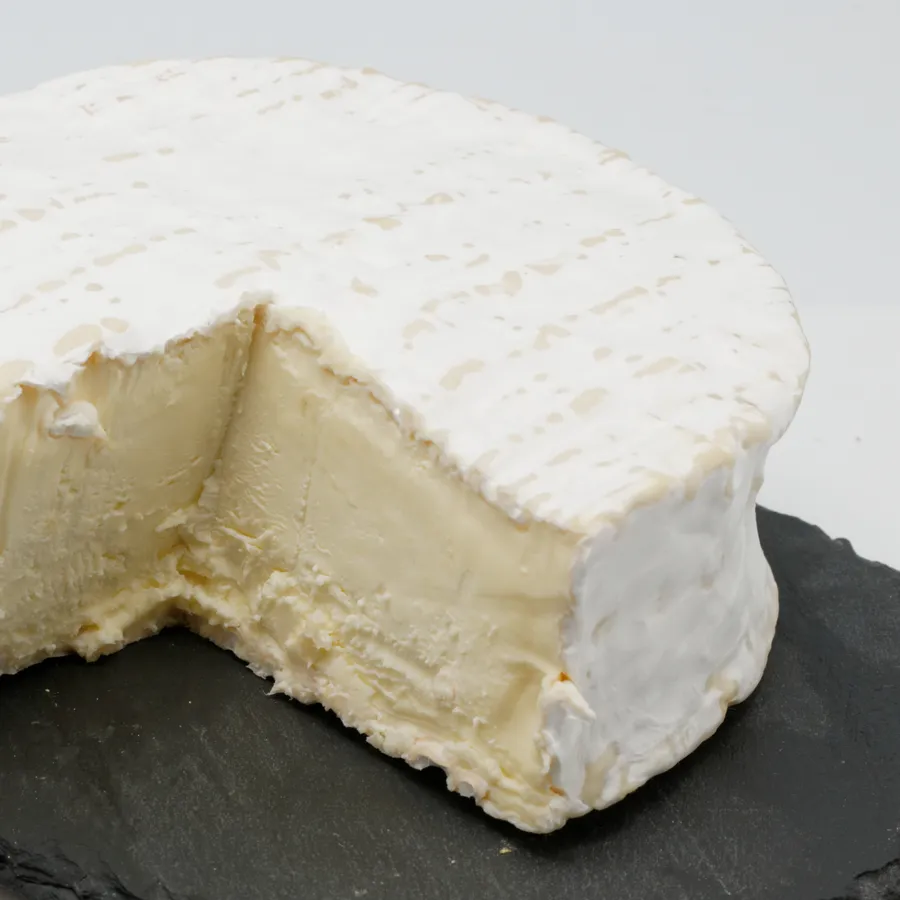 Brillat-Savarin Truffone